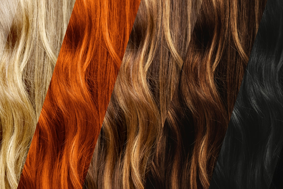 Gama de colores de pelo desde rubio, castaño, claro, rojo hasta negro